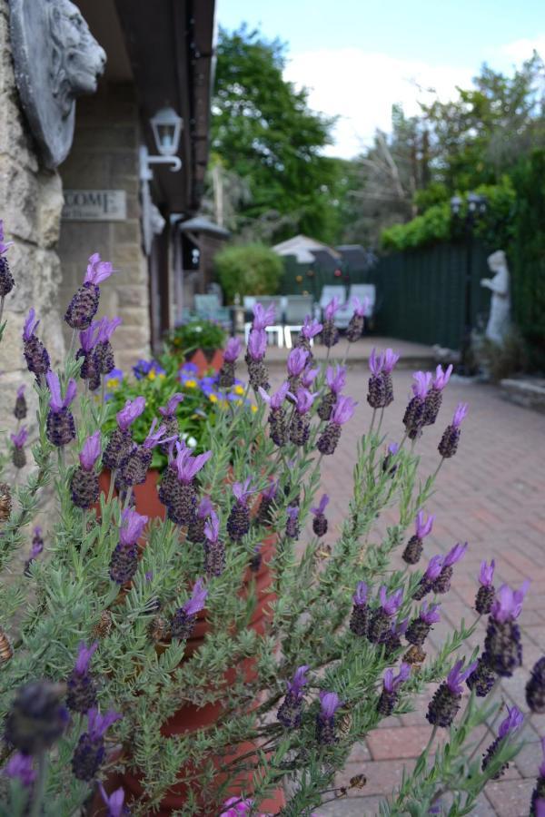 Castle Green Bed And Breakfast Ashbourne  Bagian luar foto