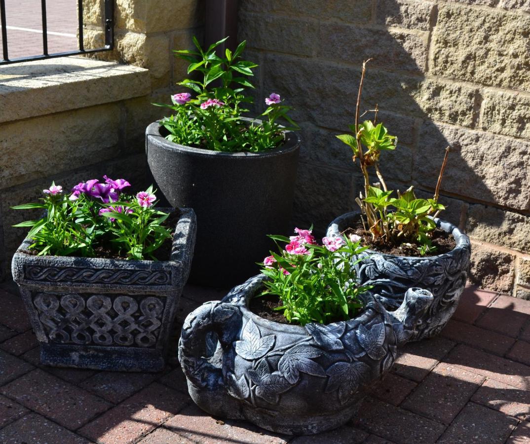 Castle Green Bed And Breakfast Ashbourne  Bagian luar foto